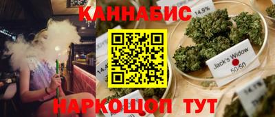 гашик Ливны