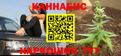 гашик Ливны