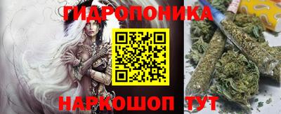 гашик Ливны